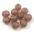 Czech Pressed Round Glass Bead - Faceted - Crystal Matt Purple Bronze Luster - 8mm