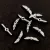  Angel Wings - Silver Colour - 12x5mm