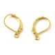 Leverback Earrings - Gold Colour 