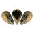 Amos® par Puca®gyöngy - Golden Bronz - 5x8 mm