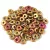 O-bead - Czech Glass Bead - Metallic Gold Iris -1x4mm
