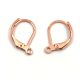 Leverback Earrings - Rose Gold Colour - 16x10 mm