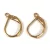 Leverback Earrings - Gold Colour - 16x10 mm