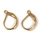 Leverback Earrings - Gold Colour - 16x10 mm