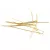 Pin - Gold Colour - Round bead end - 0.6x50mm