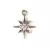 Pendant - Southern Star- Platinum Plated - Zircon deco - 10.5 x 8.5 x 2mm