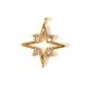 Pendant - Southern Star - Gold Plated - Zircon deco - 14 x 12 x 2mm