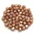 Czech glass bead - Bicone - 4mm - Light Beige Bronze Luster