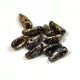 Chilli - cseh préselt kétlyukú gyöngy - tweedy gold - 4x11mm