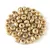 Czech pressed rondelle bead - Alabaster Brown Cream Luster - 2.5 x 4 mm