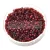 Miyuki Delica Japanese Seed Bead  size : 10/0 - 0105 Garnet Gold Luster