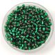 Miyuki Delica Japanese Seed Bead  - 148 -  Silver Lined Green - 10/0