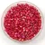 Miyuki Delica Japanese Seed Bead  size : 10/0 - 0162 Opaque Red AB