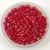 Miyuki Delica Japanese Seed Bead - 214 - Opaque Red AB - 10/0