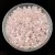 Miyuki Delica Japanese Seed Bead  - 234 - Dyed Baby Pink Lined Crystal Ceylon - 10/0