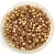 Miyuki Delica Japanese Seed Bead - 1834 - Duracoat Galvanized Champagne - 10/0