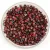 Miyuki Delica Japanese Seed Bead  size : 10/0 - 2263 - Opaque Red Picasso