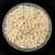 Miyuki Delica Japanese Seed Bead  size : 11/0 - 0157 Opaque Cream AB