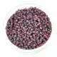Miyuki Delica Japanese Seed Bead  size : 11/0 - 1012 Metallic Med Raspberry Luster