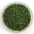 Miyuki Delica Japanese Seed Bead - 1135 - Op Avocado - 11/0