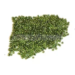 Miyuki Delica Japanese Seed Bead  size : 11/0 - 1207 Silver Lined Olive 