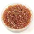 Miyuki Delica Japanese Seed Bead - 1241 - Transparent Marigold AB - 11/0