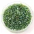 Miyuki Delica Japanese Seed Bead - 1247 - Transparent Olive AB - 11/0