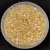 Miyuki Delica Japanese Seed Bead - 1252 - Transparent Crystal Ivory Luster AB - 11/0