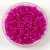 Miyuki Delica Japanese Seed Bead  size : 11/0 - 1340 - Silver Lined Bright Fuchsia