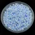 Miyuki Delica Japanese Seed Bead - 1517-1 - Opaque Matte Blue Ice - 11/0