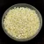 Miyuki Delica Japanese Seed Bead  size : 11/0 - 1531-1 Ceylon Light Yellow