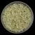 Miyuki Delica Japanese Seed Bead  size : 11/0 - 1675 - Pearl Lined Pale Yellow AB
