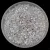 Miyuki Delica Japanese Seed Bead - 1677 - Pearl Lined Pale Gray AB