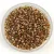 Miyuki Delica Japanese Seed Bead  - 1703 - Copper Pearl Lined Chartruese - 11/0