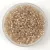 Miyuki Delica Japanese Seed Bead  size : 11/0 - 1731 - Beige Lined Opal