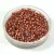 Miyuki Delica Japanese Seed Bead  size : 11/0 - 1737 Pink Lined Rainbow Amethyst 
