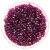 Miyuki Delica Japanese Seed Bead - 1747 - Fuchsia Lined Amethyst AB - 11/0