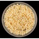 Miyuki Delica Japanese Seed Bead  - 2371 - Fancy Lined Cream - 11/0