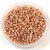 Miyuki Delica Japanese Seed Bead  size : 11/0 -  2518 - Duracoat Galvanized Rose Gold