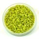 Miyuki delica gyöngy 0262 - lüszteres lime - 11/0