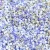 Miyuki Delica Japanese Seed Bead  size : 11/0 - Mix 118