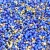 Miyuki Delica Japanese Seed Bead  size : 11/0 - Mix 123