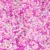 Miyuki Delica Japanese Seed Bead  size : 11/0 - Mix 128