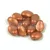 Tulip Petal - Czech Glass Bead 8x6mm -  Terracotta Golden Shine