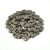 Miyuki Half Tila 2 Hole Japanese Seed Bead -190 nickel (Dark Silver) 2 5x5mm