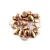 Gekko - cseh préselt szirom gyöngy - Crystal Capri Gold Full - 3x5mm