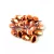 Gekko - cseh préselt szirom gyöngy - Crystal Sunset Full - 3x5mm