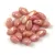 Gekko - cseh préselt szirom gyöngy - White Pink Bronze Luster - 3x5mm