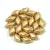 Gemduo cseh préselt üveggyöngy - Aztec Gold - 5x8 mm