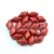 Gemduo bead - Lavared - 5x8mm